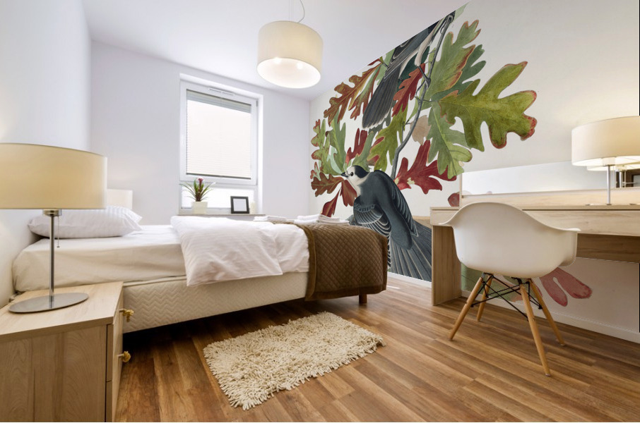 Canada Jay Mural print