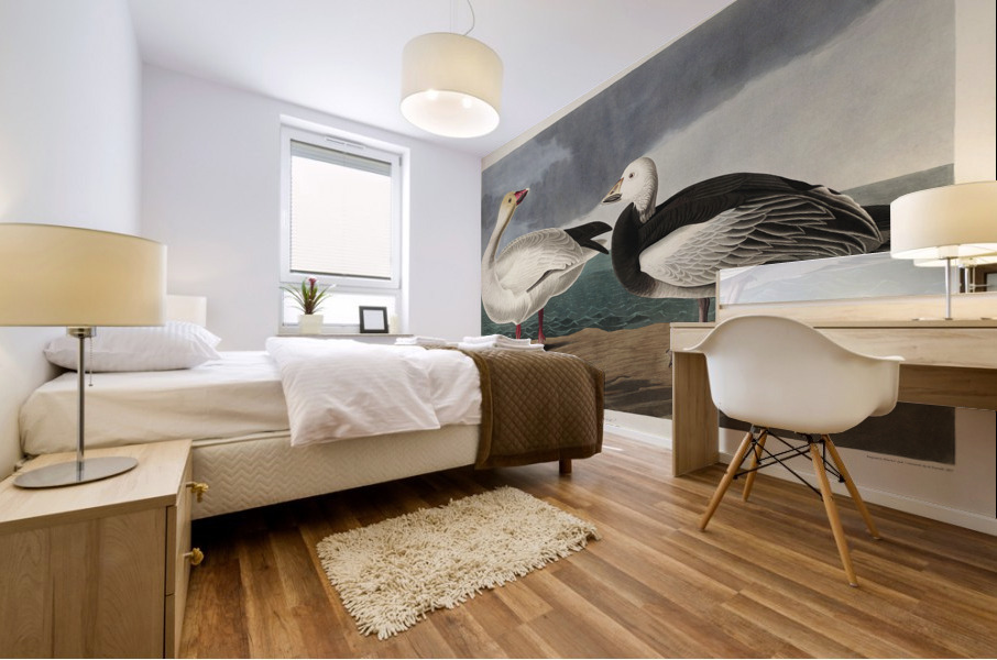 Black or Surf Duck Mural print