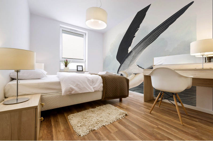 Black Skimmer Mural print
