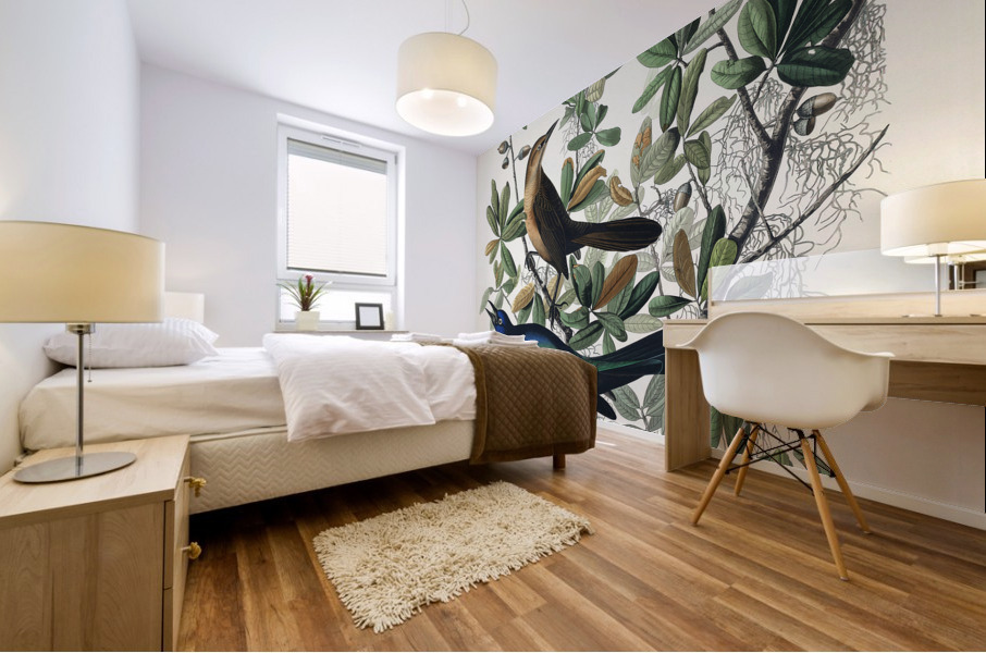 Boat-tailed Grackle Impression murale