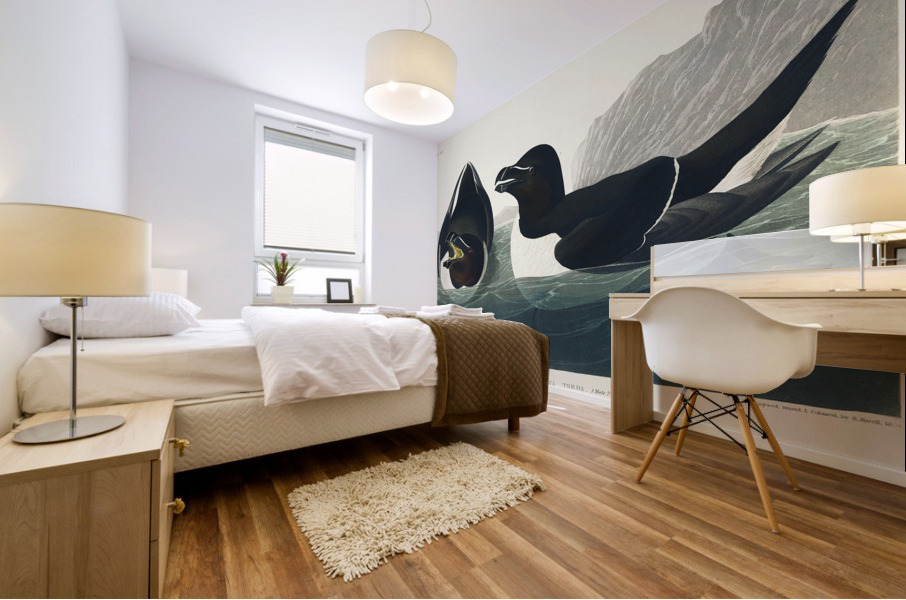 Razor Bill Mural print