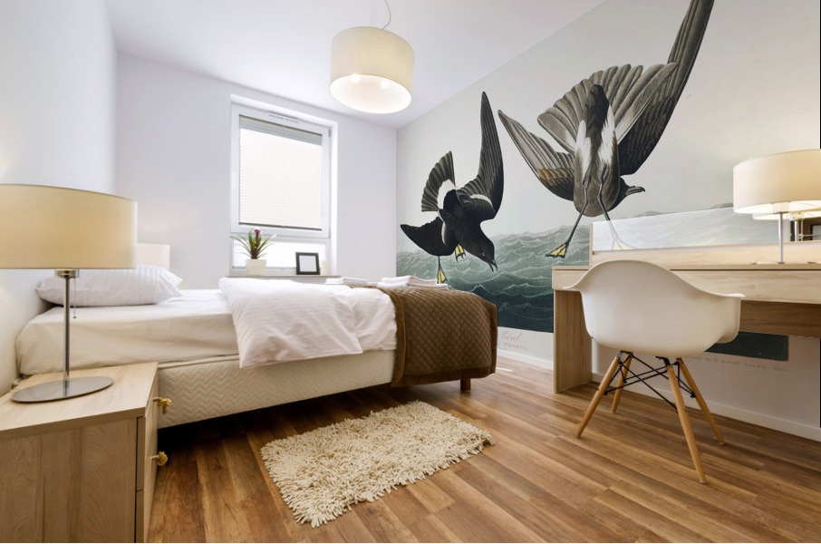 Stormy Petrel Mural print