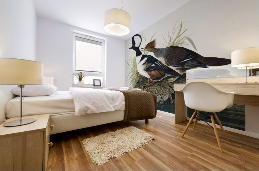 Hooded Merganser Mural print