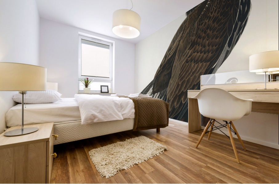 White-headed Eagle Mural print