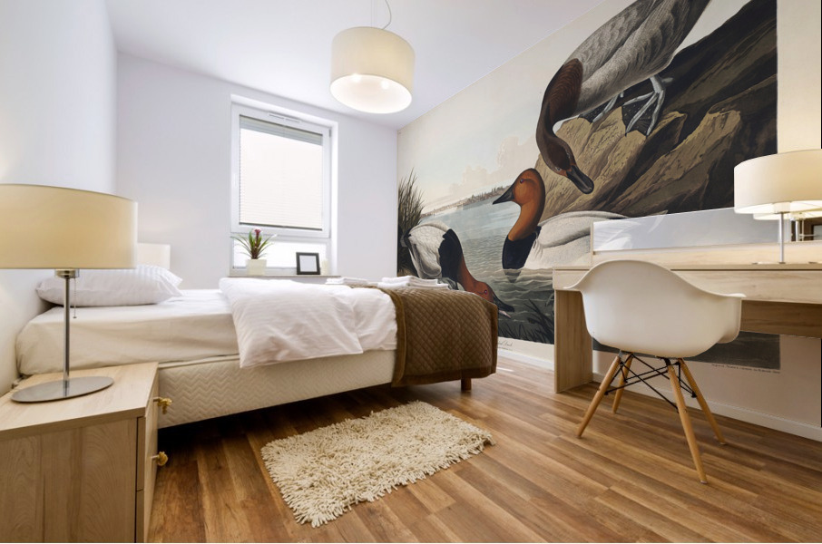 American Redstart Mural print