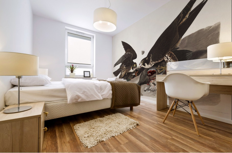 Great Footed Hawk Mural print