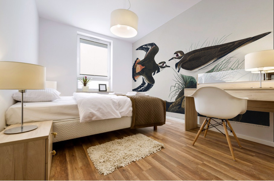 Kildeer Plover Mural print
