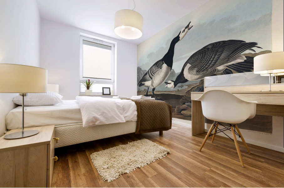 Barnacle Goose Mural print