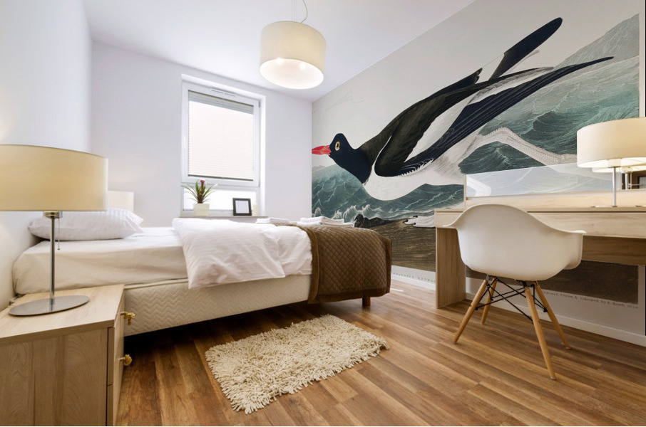 Wandering Shearwater Mural print