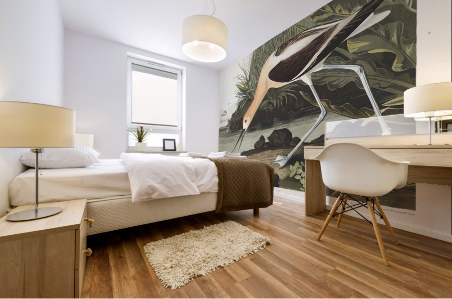 American Avocet Mural print