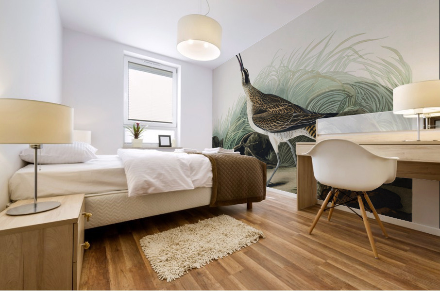 Hudsonian Curlew Mural print