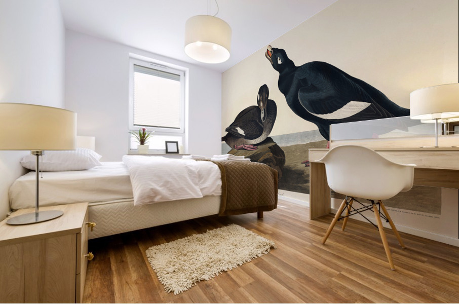 Blue-eyed yellow Warbler Mural print