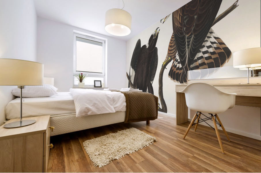 Rough-legged Falcon Mural print