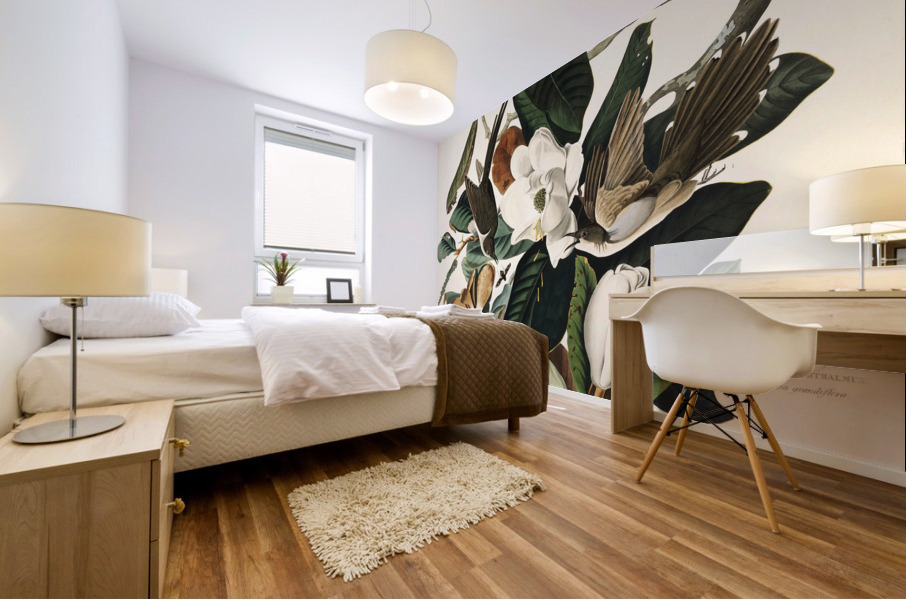 Black-billed Cuckoo Mural print