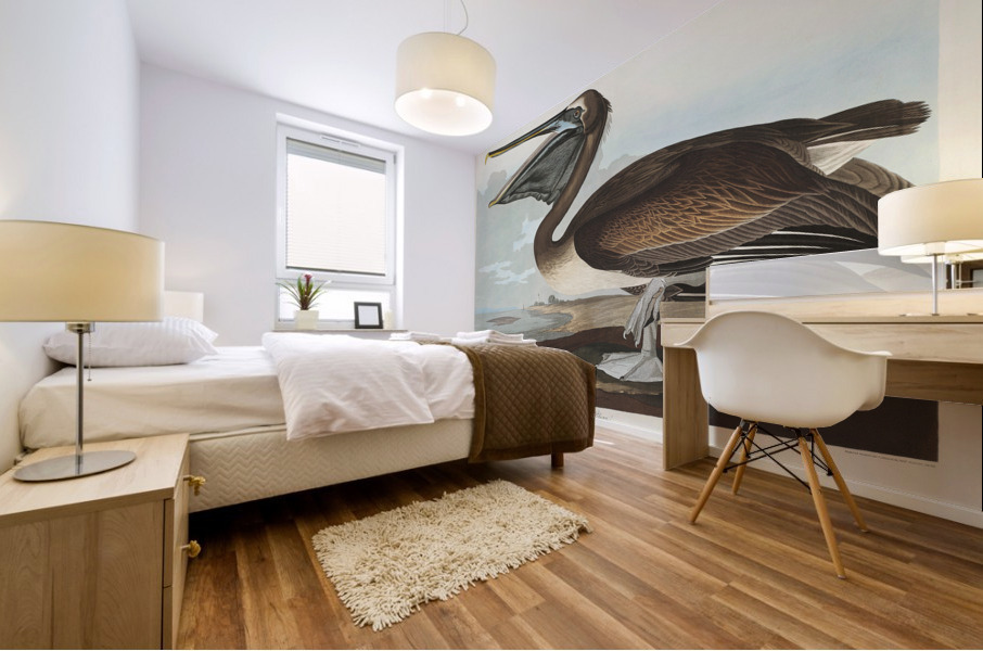 Brown Pelican Mural print