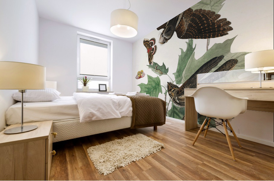 Whip-poor-will Mural print