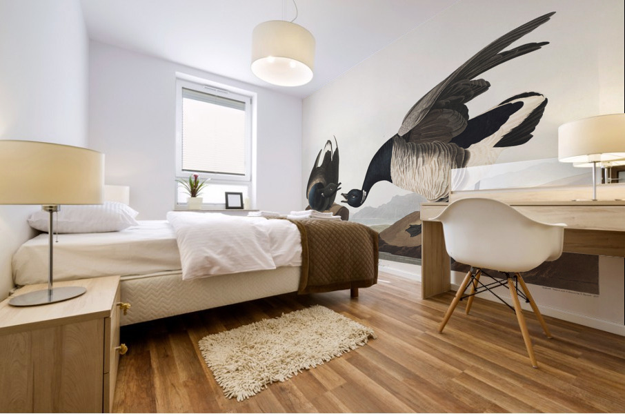 Brant Goose Mural print