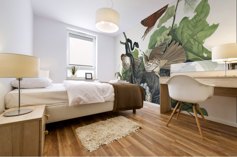 Ferruginous Thrush Mural print