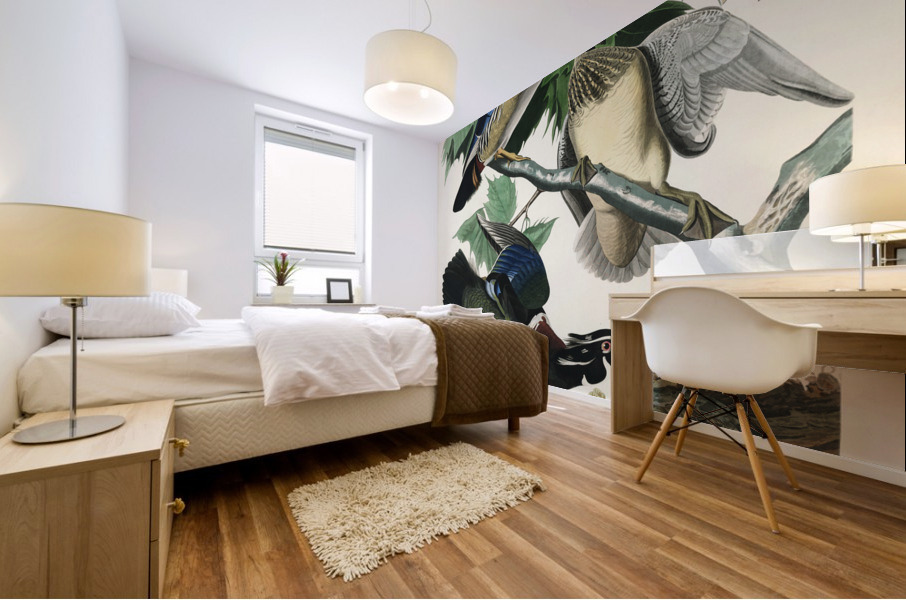 Summer or Wood Duck Mural print