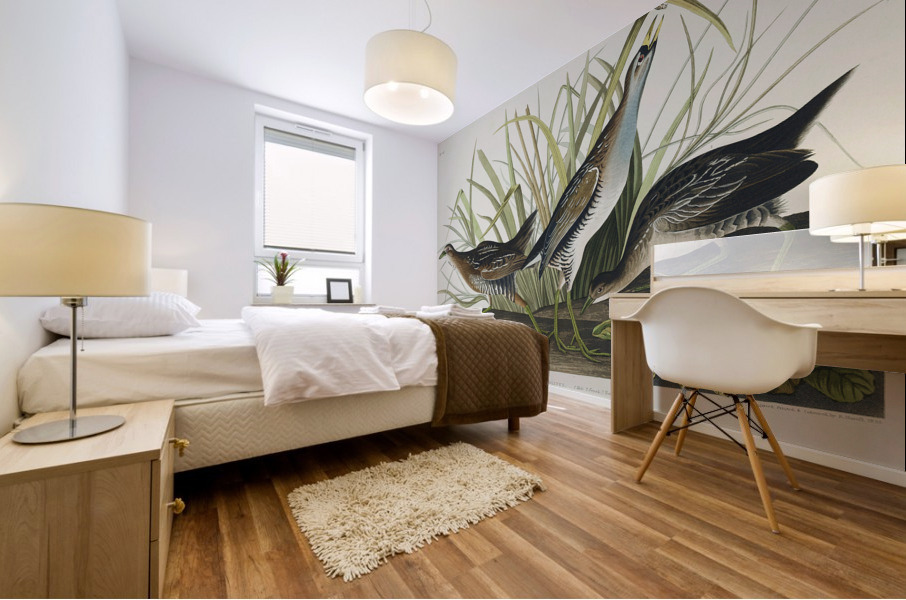 Sora or Rail Mural print