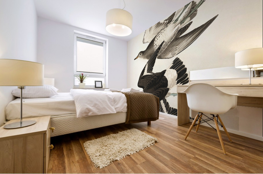 Townsends Sandpiper Mural print