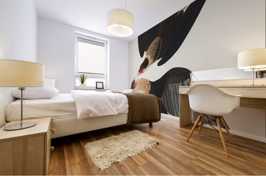 Brasilian Caracara Eagle Mural print