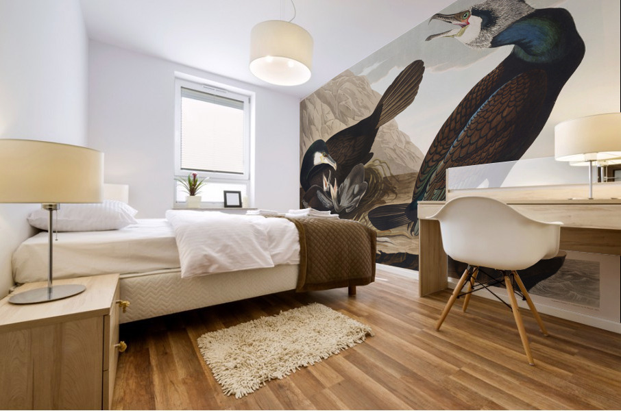 Common Cormorant Mural print