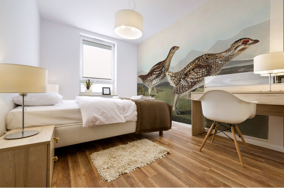 Sharp-tailed Grouse Mural print
