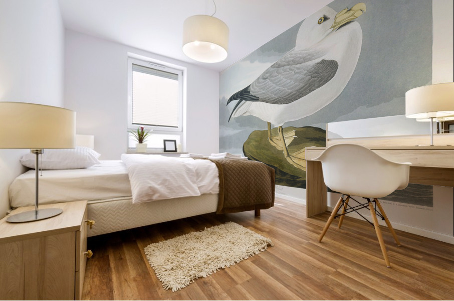 Fulmar Petrel Mural print