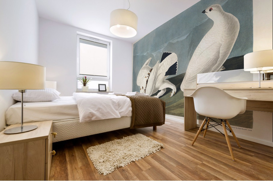 American Ptarmigan and White-tailed Grous Mural print