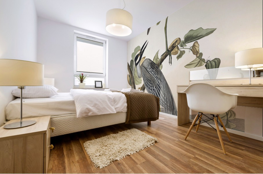 Yellow-Crowned Heron Mural print