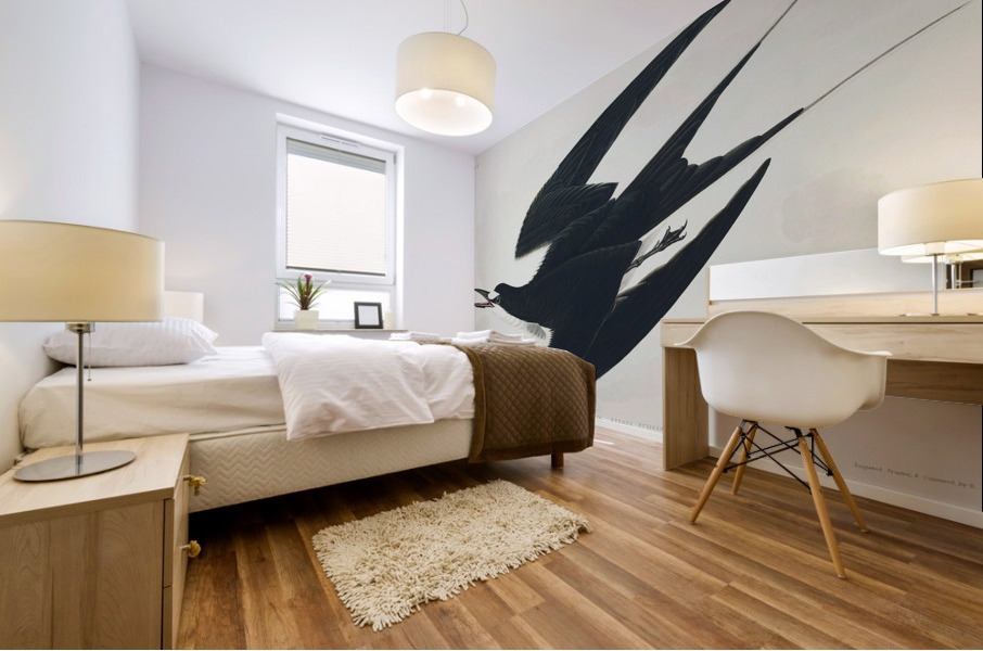 White-bellied Swallow Mural print