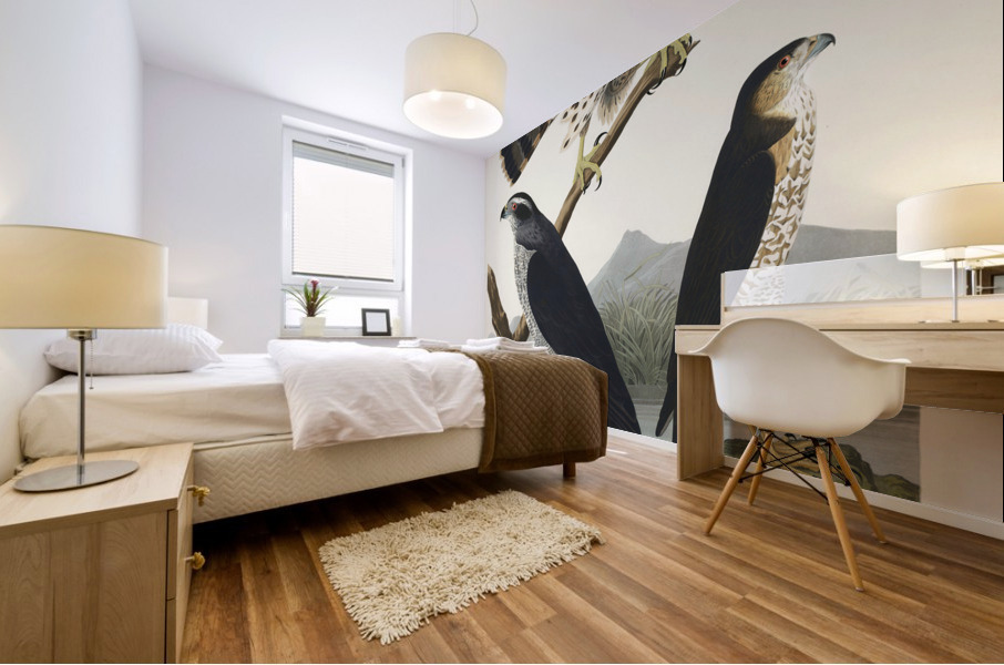 Goshawk and Stanley Hawk Mural print