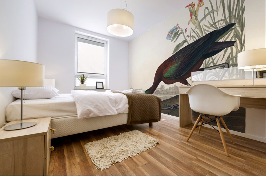 Glossy Ibis Mural print