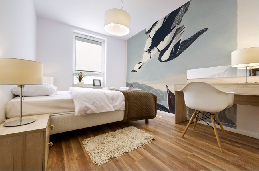 Smew or White Nun Mural print