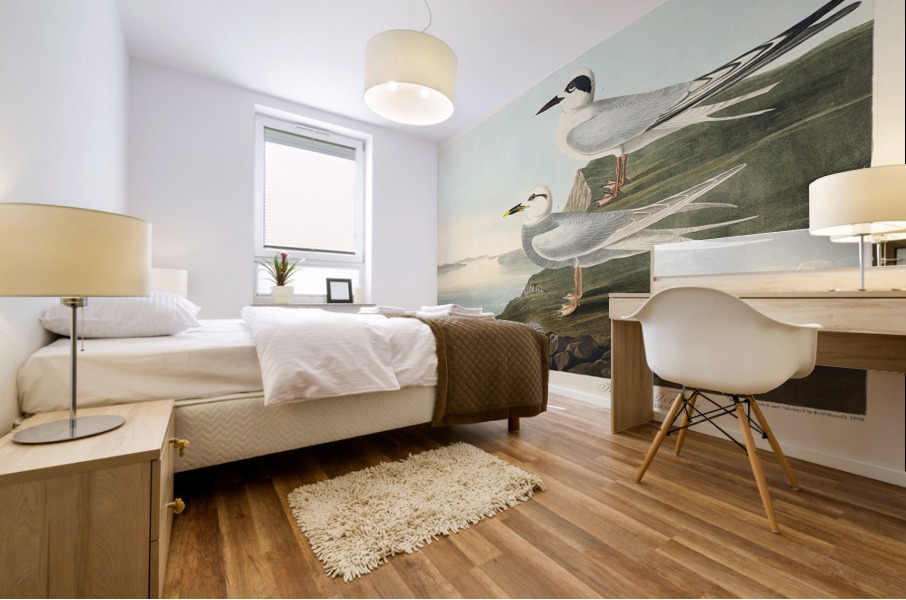 Havells Tern and Trudeaus Tern Mural print