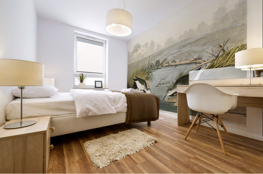 Spotted Sandpiper Mural print