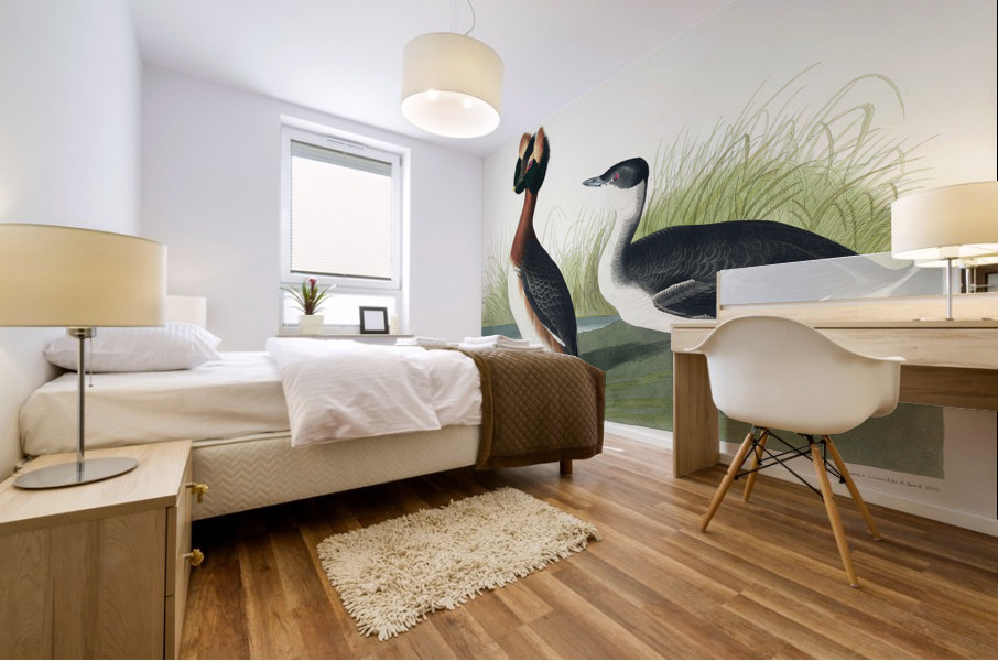 Horned Grebe Mural print