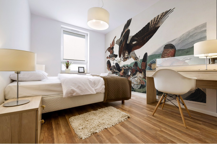 Virginian Partridge Mural print