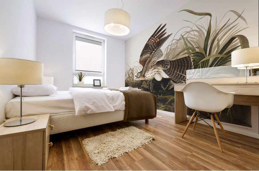 Winter Hawk Mural print