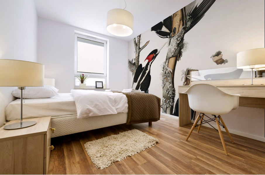 Ivory-billed Woodpecker Mural print