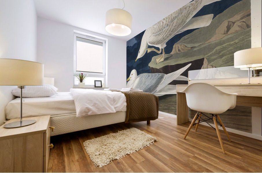 White-winged silvery Gull Mural print