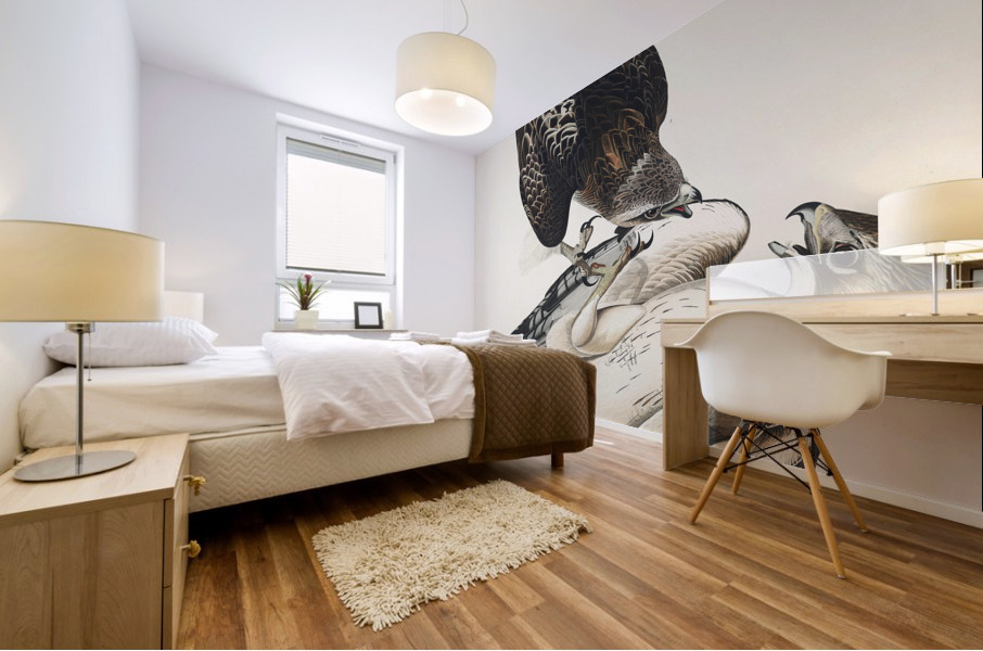 Red-tailed Hawk Mural print