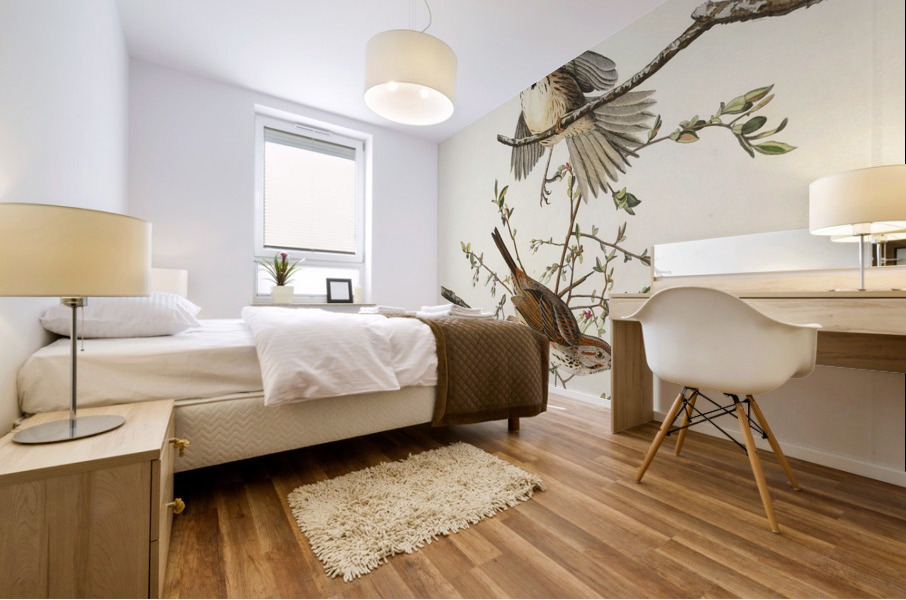 Song Sparrow Mural print