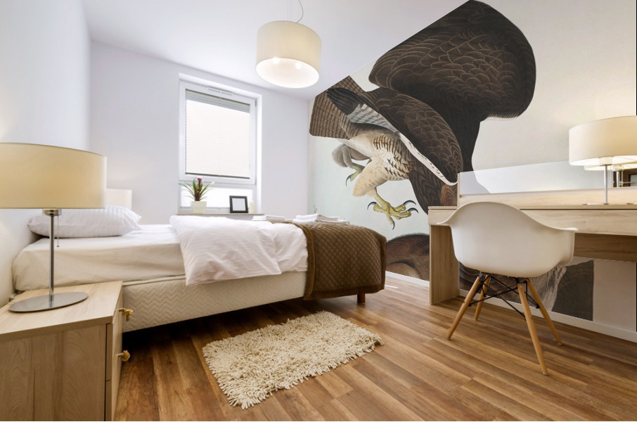 Common Buzzard Mural print