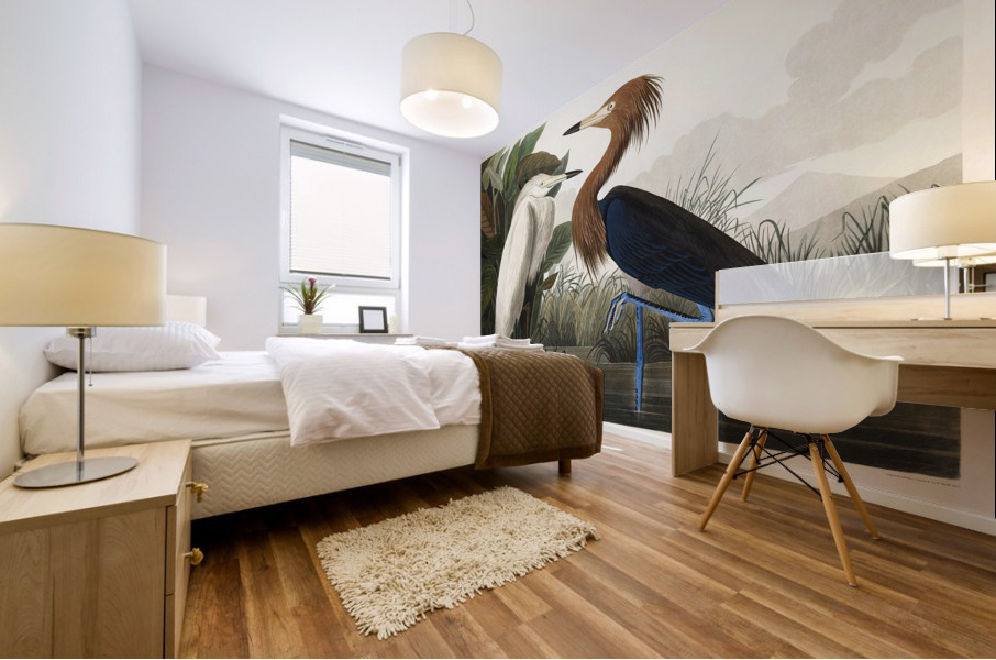 Purple Heron Mural print