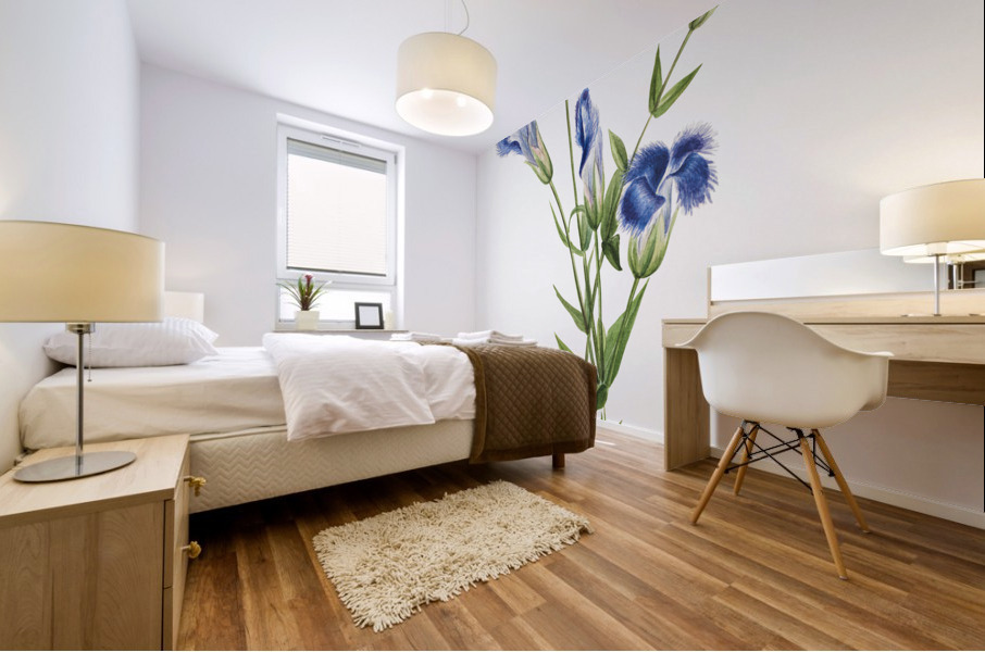 Fringed Gentian Gentiana crinita 1905 Mural print