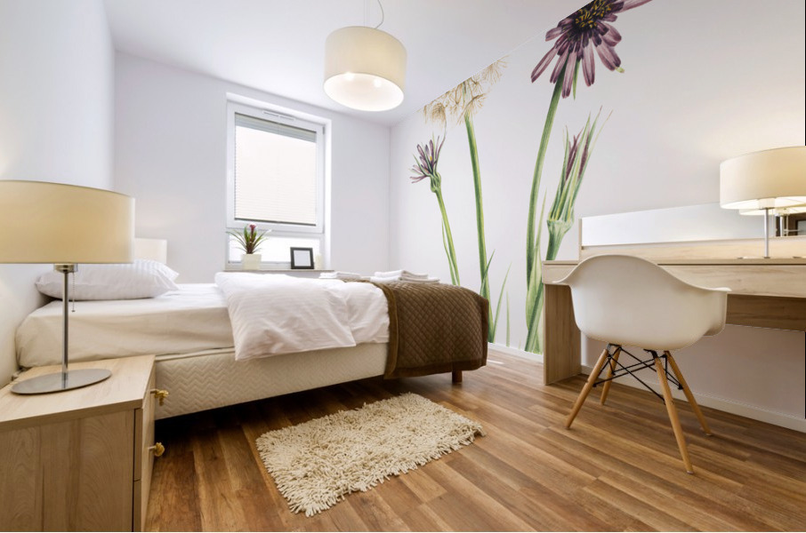 Salsify Tragopogon porrifolius 1921 Mural print