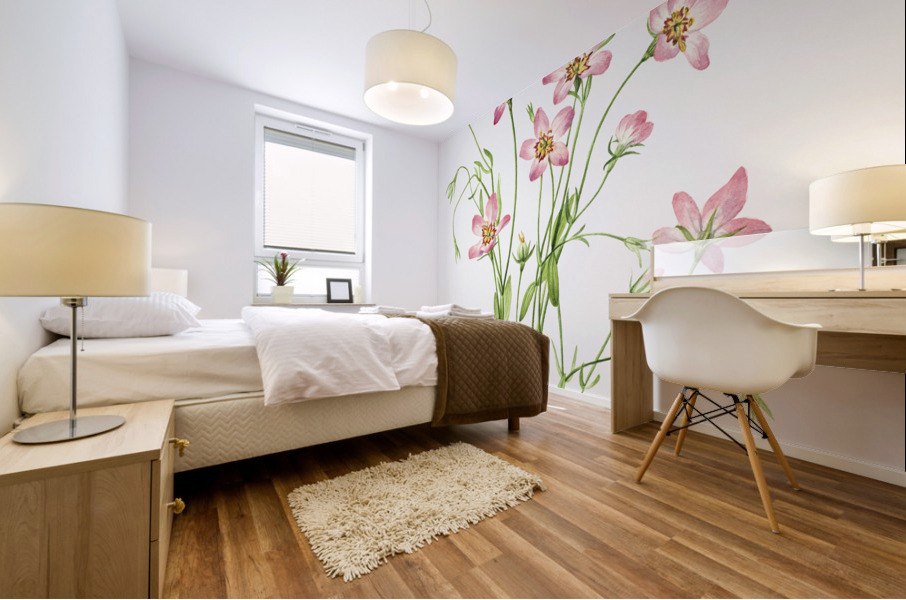 Saltmarsh Rosegentian Sabbatia stellaris 1926 Mural print