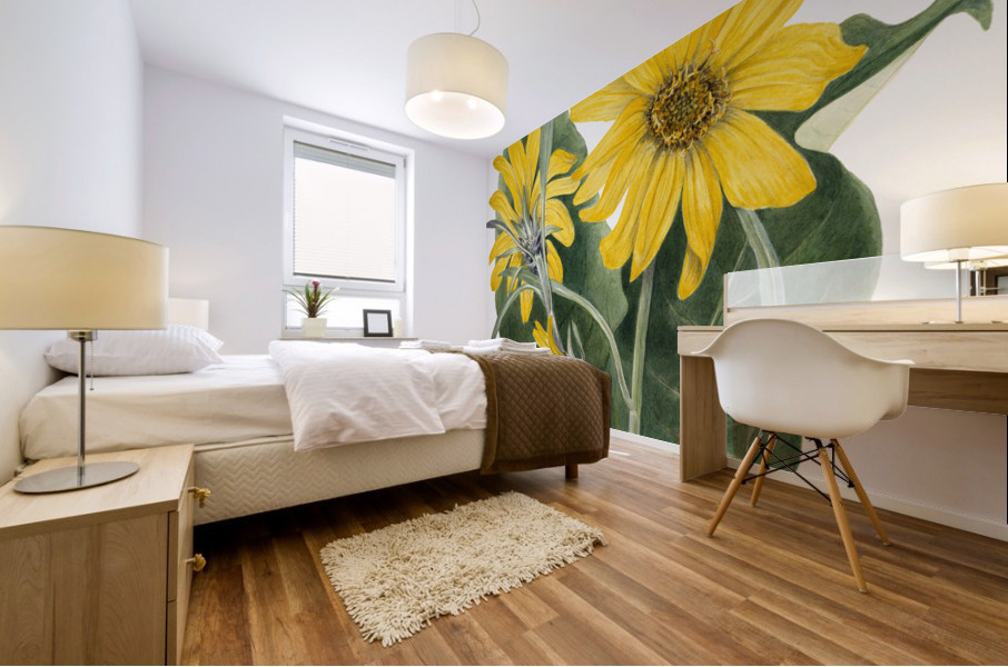 Balsamroot Balsamorhiza sagittata 1923 Mural print